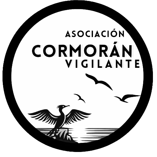 logo original negro